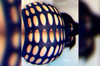 65 year old cougar💋 i love anal boys💋 let me blow your mind💋 - Image 7